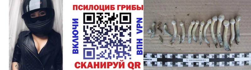 наркотики  Петухово  Псилоцибиновые грибы ЛСД 